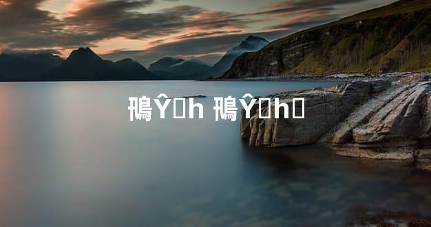 鳵ŶǮһ 鳵ŶǮһ챼